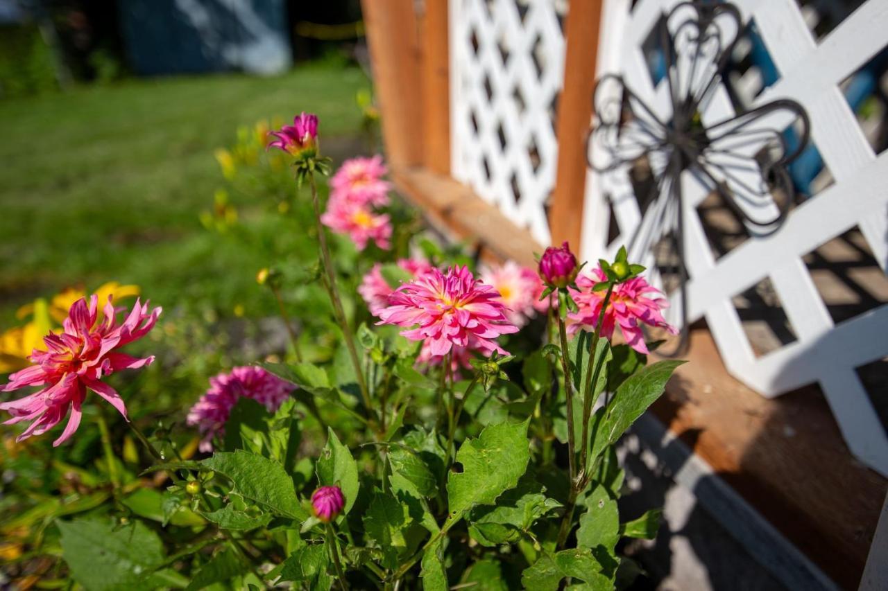 The Mint Cottage With Garden Anchorage Extérieur photo